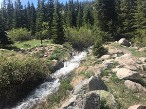 Meet your Posher, Nathan